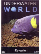 Underwater World  Reverie [Edizione: Regno Unito]