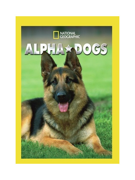 Alpha Dogs (2 Dvd) [Edizione: Stati Uniti]