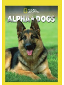 Alpha Dogs (2 Dvd) [Edizione: Stati Uniti]