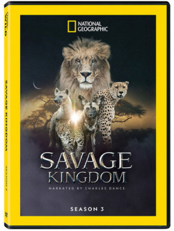 Savage Kingdom: Narrated By Charles Dance - Ssn 3 (2 Dvd) [Edizione: Stati Uniti]