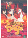 Millionaire Dogs [Edizione: Regno Unito]