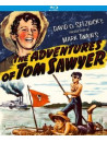 Adventures Of Tom Sawyer (1938) [Edizione: Stati Uniti]