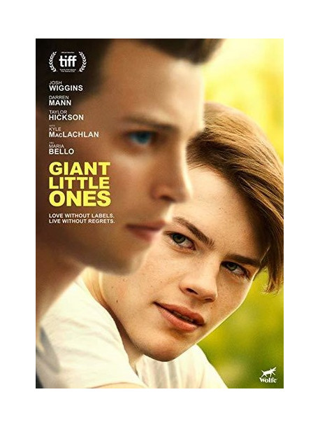 Giant Little Ones [Edizione: Stati Uniti]