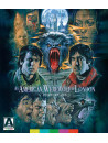 An American Werewolf In London: Standard Edition [Edizione: Stati Uniti]