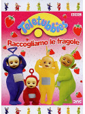 Teletubbies - Raccogliamo Le Fragole