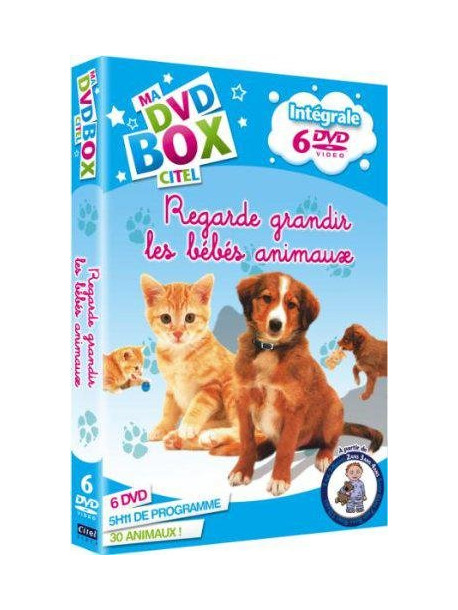 Ma Dvd Box Citel - Regarde Grandir Les Bebes Animaux (6 Dvd) [Edizione: Francia]