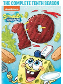 Spongebob Squarepants: Complete Tenth Season (2 Dvd) [Edizione: Stati Uniti]