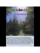 Peter Davison - Music From The Heart Of The Forest