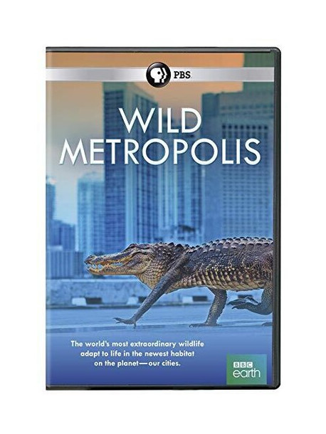 Wild Metropolis [Edizione: Stati Uniti]