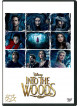 Johnny Depp - Into The Woods [Edizione: Giappone]