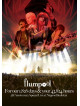 Flumpool - Flumpool 5Th Anniversary Special Live[For Our 1.826 Days & Your 43.824 H (2 Dvd) [Edizione: Giappone]