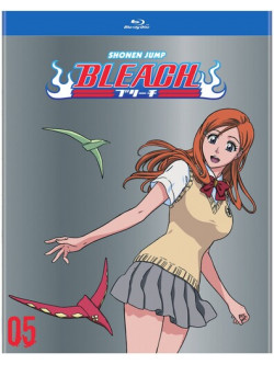 Bleach (Tv) Set 5 (4 Blu-Ray) [Edizione: Stati Uniti]