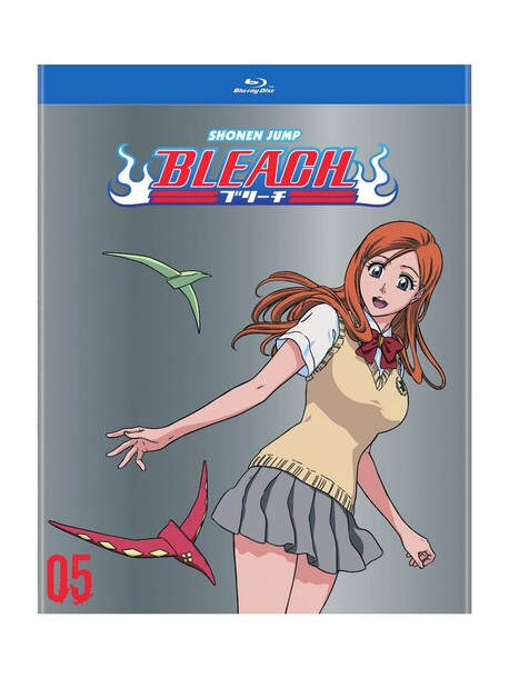 Bleach (Tv) Set 5 (4 Blu-Ray) [Edizione: Stati Uniti]