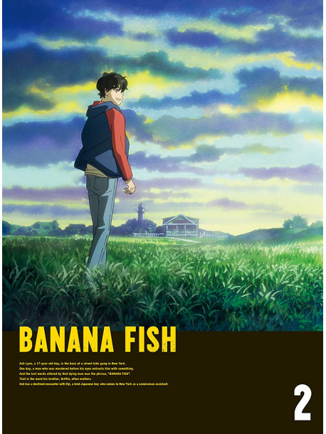 Yoshida Akimi - Banana Fish Dvd Box 2 (3 Dvd) [Edizione: Giappone]