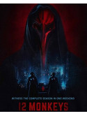 12 Monkeys: Season 3 (3 Dvd) [Edizione: Stati Uniti]
