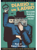 Diario Di Un Ladro