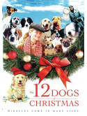 12 Dogs Of Christmas [Edizione: Stati Uniti]