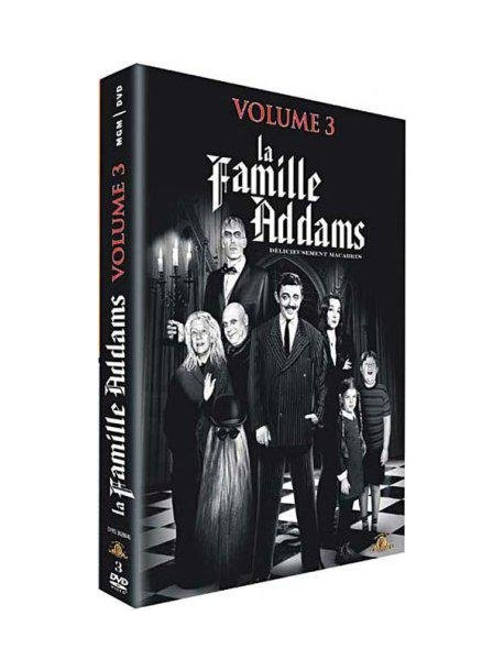 La Famille Addams Vol 3 (3 Dvd) [Edizione: Francia]
