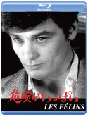Alain Delon - The Love Cage [Edizione: Giappone]