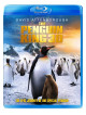 Penguin King 3D (Blu-Ray 3D + Blu Ray) [Edizione: Regno Unito]