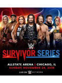 Wwe: Survivor Series 2019 (2 Dvd) [Edizione: Regno Unito]