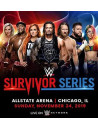 Wwe: Survivor Series 2019 (2 Dvd) [Edizione: Regno Unito]