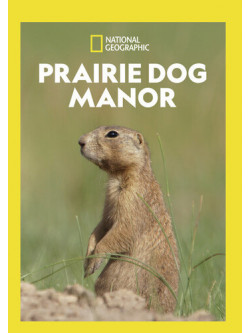 Prairie Dog Manor (3 Dvd) [Edizione: Stati Uniti]