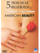 American Beauty