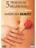 American Beauty