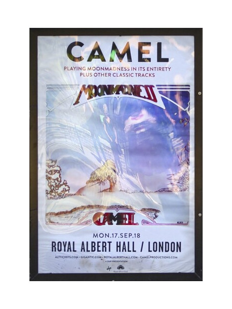 Camel - At The Royal Albert Hall
