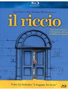 Riccio (Il)