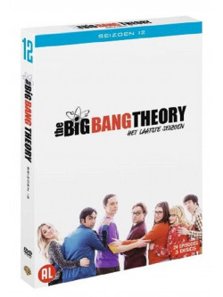 Big Bang Theory Season 12 (4 Dvd) [Edizione: Paesi Bassi]
