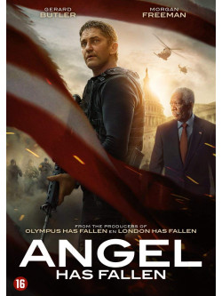 Angel Has Fallen [Edizione: Paesi Bassi]