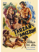 Tarzan E Le Amazzoni (Restaurato In Hd)