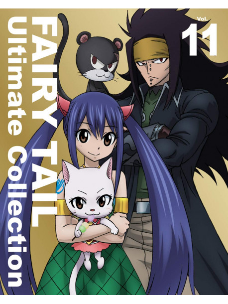 (Various Artists) - Fairy Tail -Ultimate Collection- Vol.11 (4 Blu-Ray) [Edizione: Giappone]