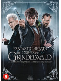 Fantastic Beasts: Crimes [Edizione: Paesi Bassi]