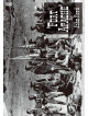 John Wayne - Fort Apache [Edizione: Giappone]