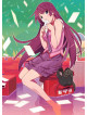 Animation - [Nise Monogatari]Dai 2 Kan/Karen Bee(Chuu) (2 Blu-Ray) [Edizione: Giappone]