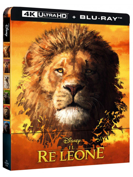 Re Leone (Il) (Live Action) (Steelbook) (Blu-Ray 4K Ultra HD+Blu-Ray)