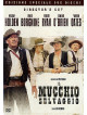 Mucchio Selvaggio (Il) (SE) (2 Dvd)