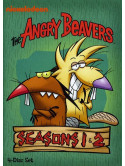 Angry Beavers: Seasons One & Two (4 Dvd) [Edizione: Stati Uniti]
