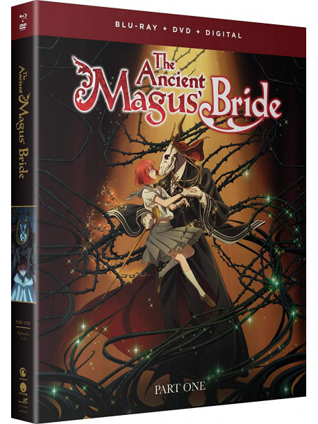 Ancient Magus Bride: Complete Series (4 Blu-Ray) [Edizione: Stati Uniti]