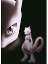 Animation - Gekijou Ban Pocket Monster Best Wishes! [Shinsoku No Genesect Mewtwo Kak (3 Dvd) [Edizione: Giappone]