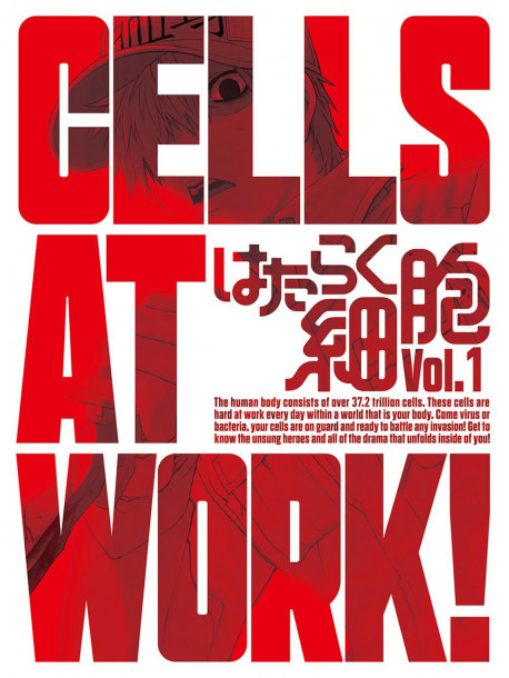 (Animation) - Cells At Work! 1 (2 Blu-Ray) [Edizione: Giappone]