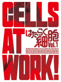 (Animation) - Cells At Work! 1 (2 Blu-Ray) [Edizione: Giappone]