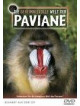 Die Geheimnisvolle Welt Der Paviane [Edizione: Germania]