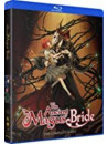 Ancient Magus Bride: Complete Series (4 Blu-Ray) [Edizione: Stati Uniti]