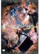 Concerto Mooon - Live - Once In A Life Time [Edizione: Giappone]