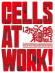 Shimizu Akane - Cells At Work! 5 (2 Blu-Ray) [Edizione: Giappone]