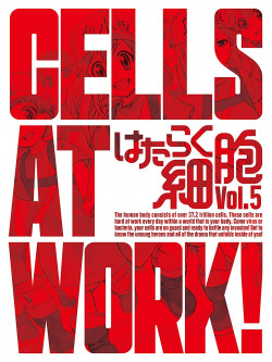 Shimizu Akane - Cells At Work! 5 (2 Blu-Ray) [Edizione: Giappone]